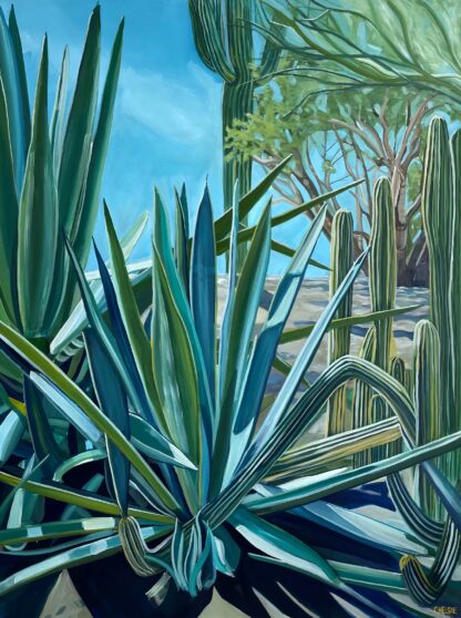 Desert Landscape of Agaves